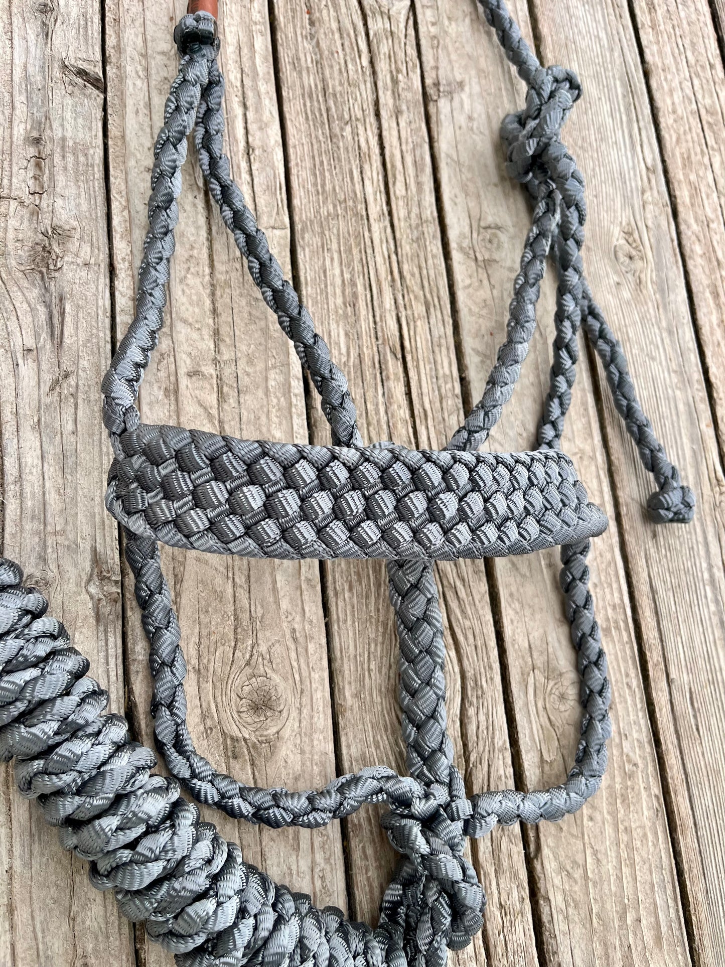 Silver Mule Tape Halter
