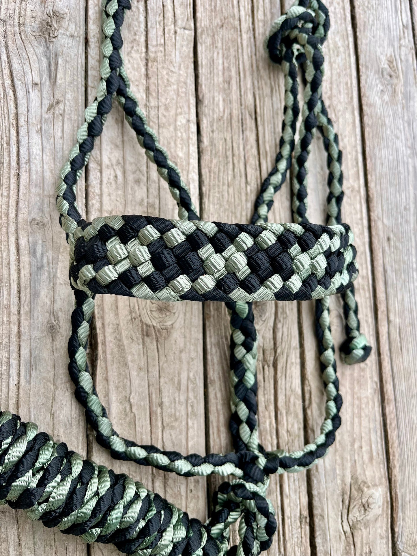 Green & Black Mule Tape Halter