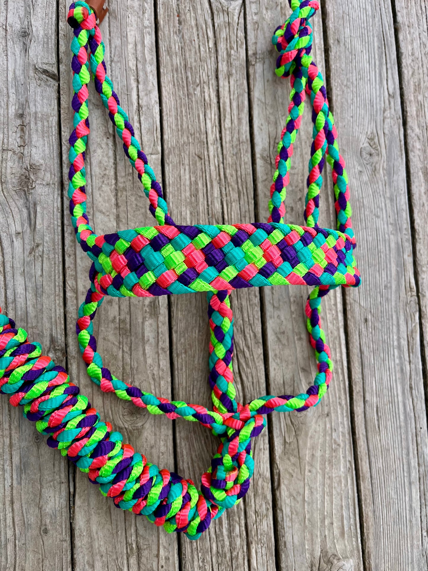 Neon Colors Mule Tape Halter