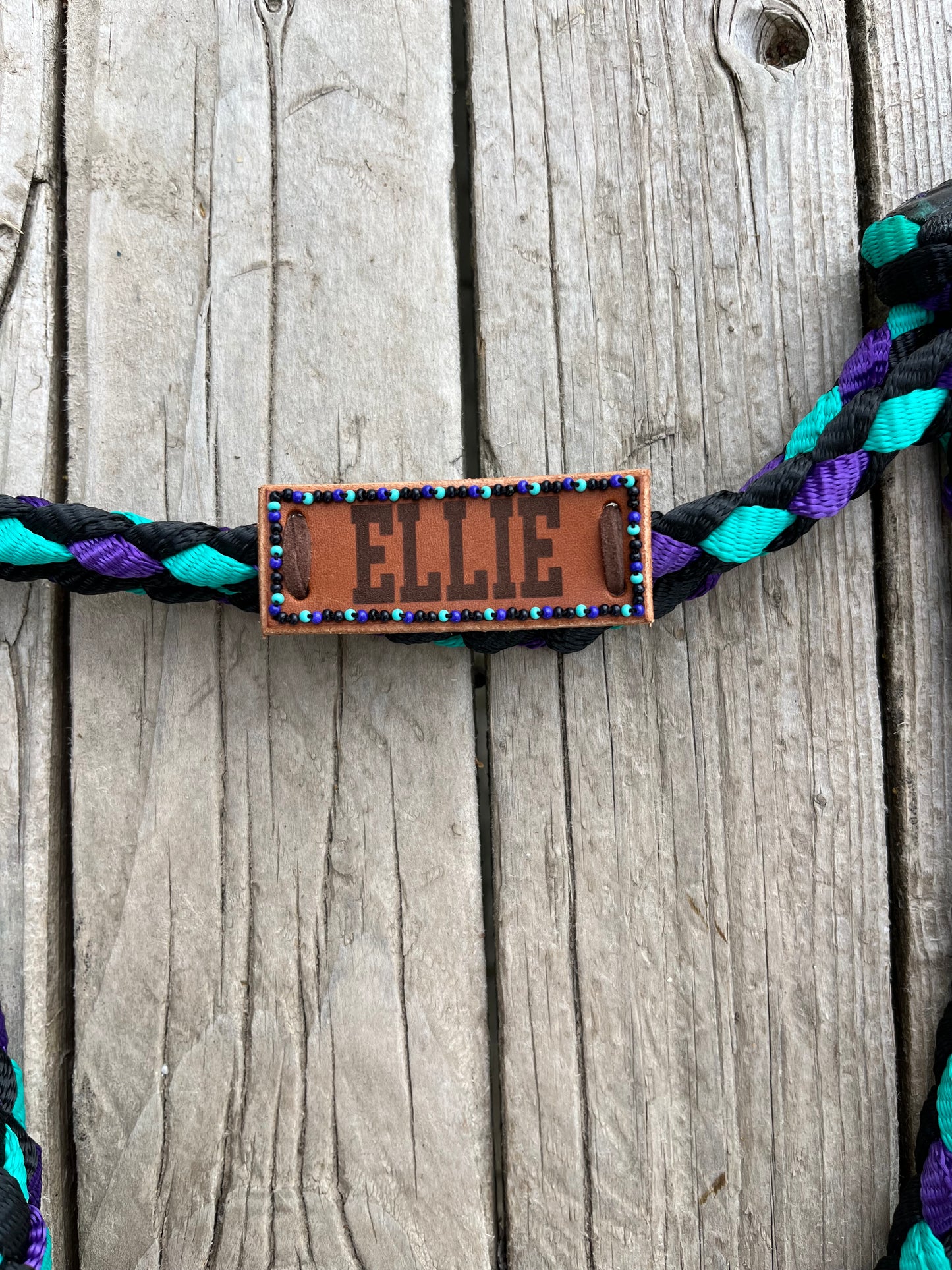 Mule Tape Halter with Matching Beaded Name Tag