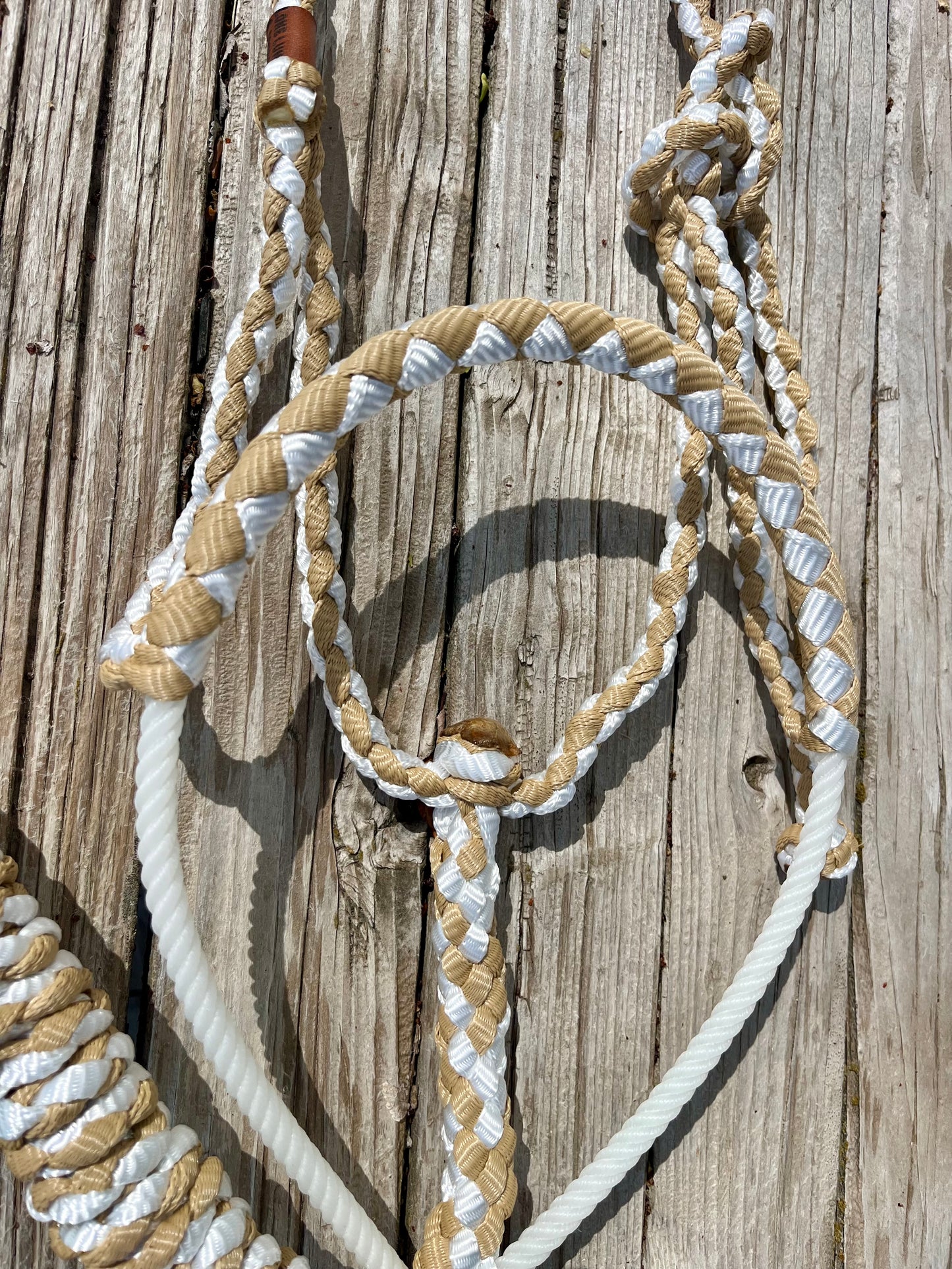 White & Beige Mule Tape Horse Halter with Lariat Nose Band