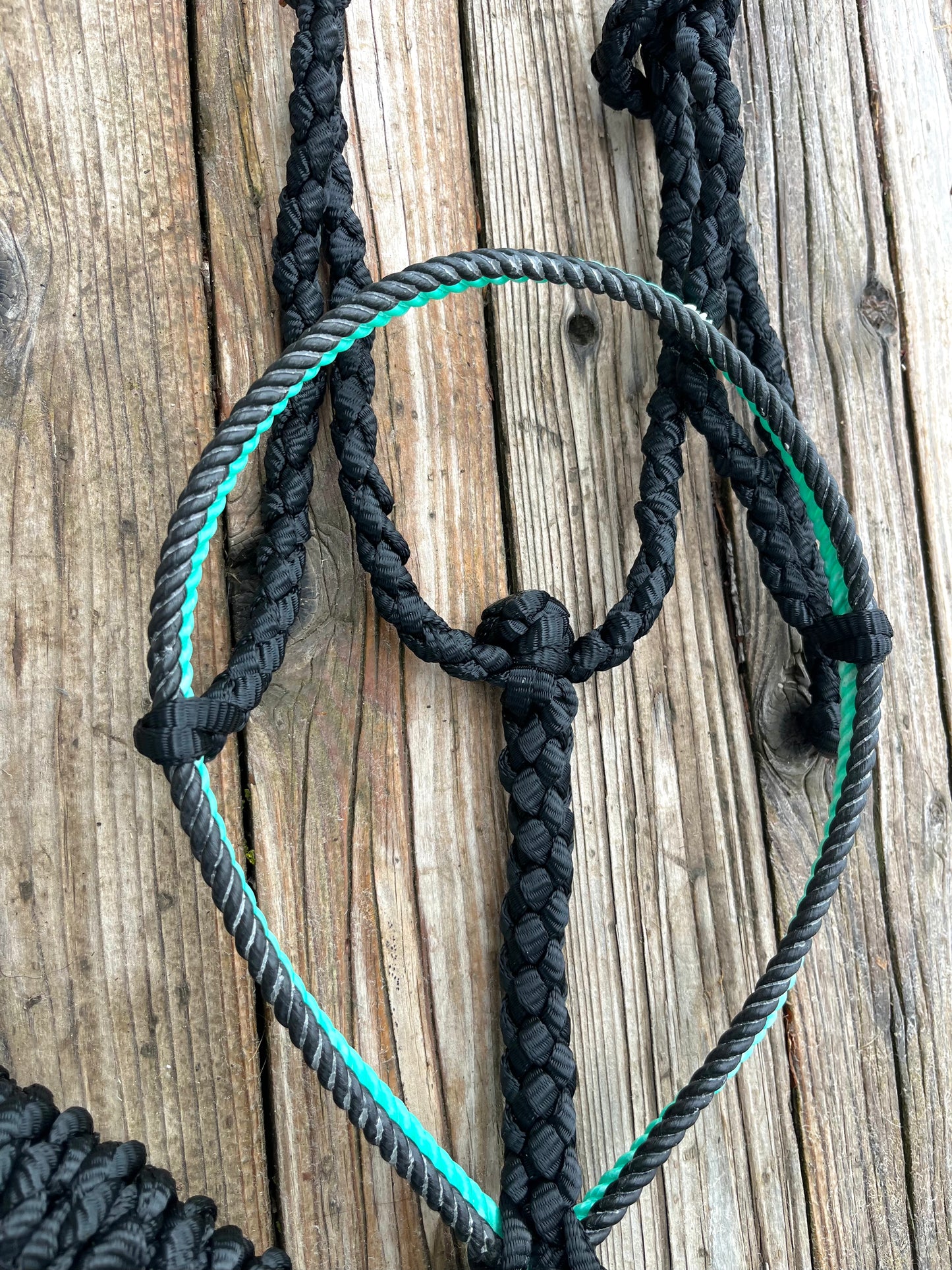 Turquoise & Black Horse Double Lariat Mule Tape Halter