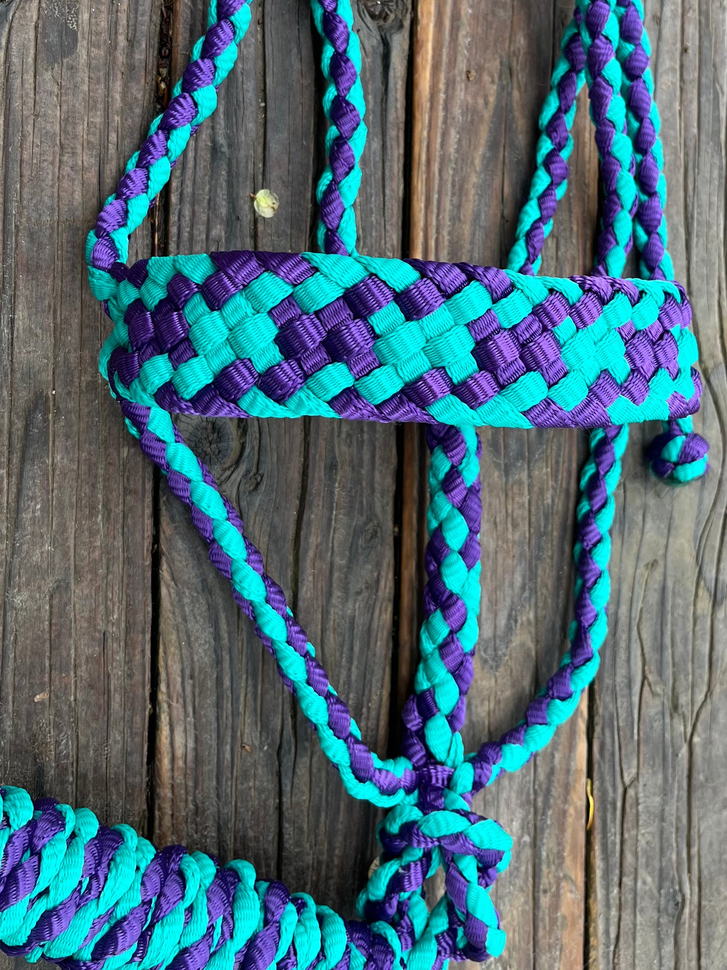 Purple & Turquoise Mule Tape Horse Halter