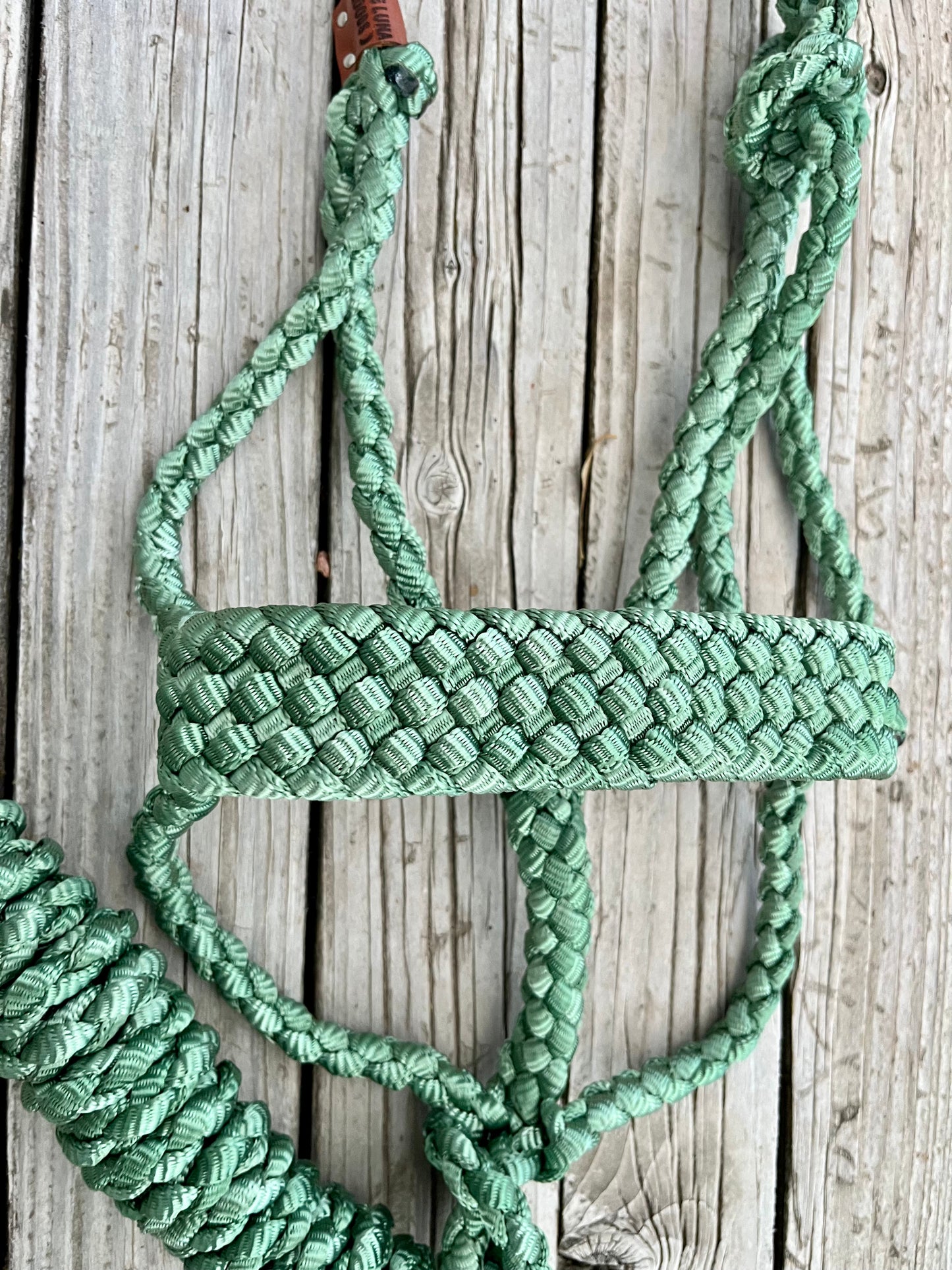 Forest Green Mule Tape Halter