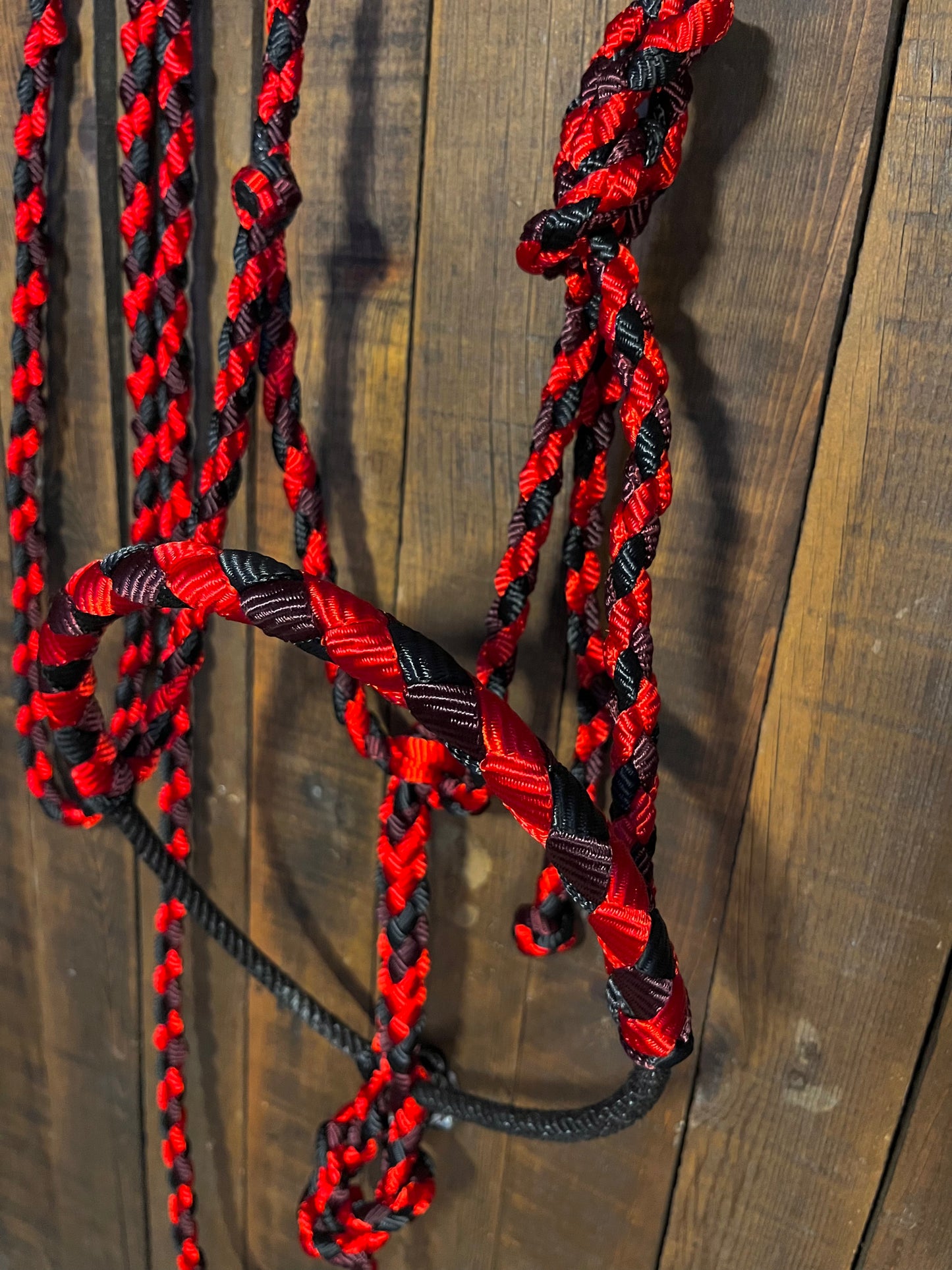 Burgundy, Red & Black Lariat Horse Halter