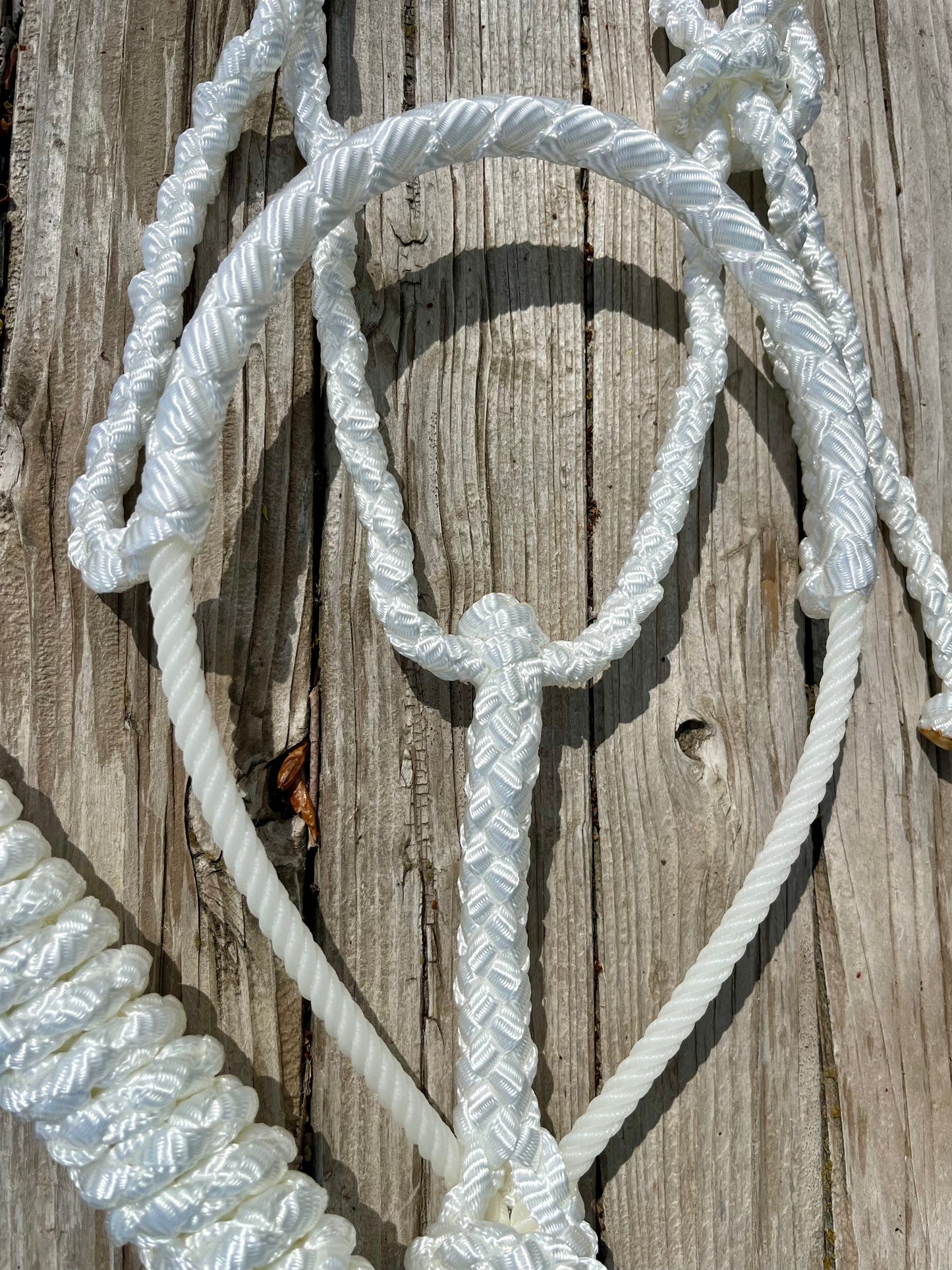 White Mule Tape Horse Halter with Lariat Nose Band