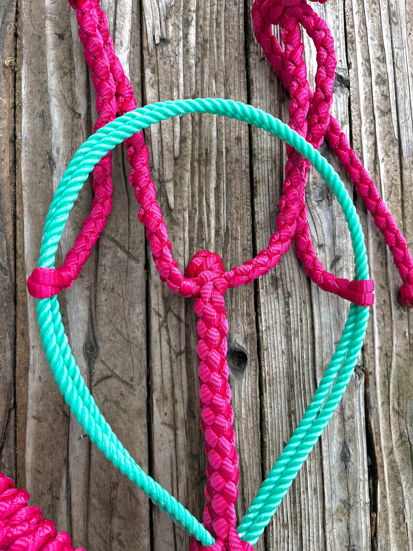 Turquoise & Pink Horse Double Lariat Mule Tape Halter