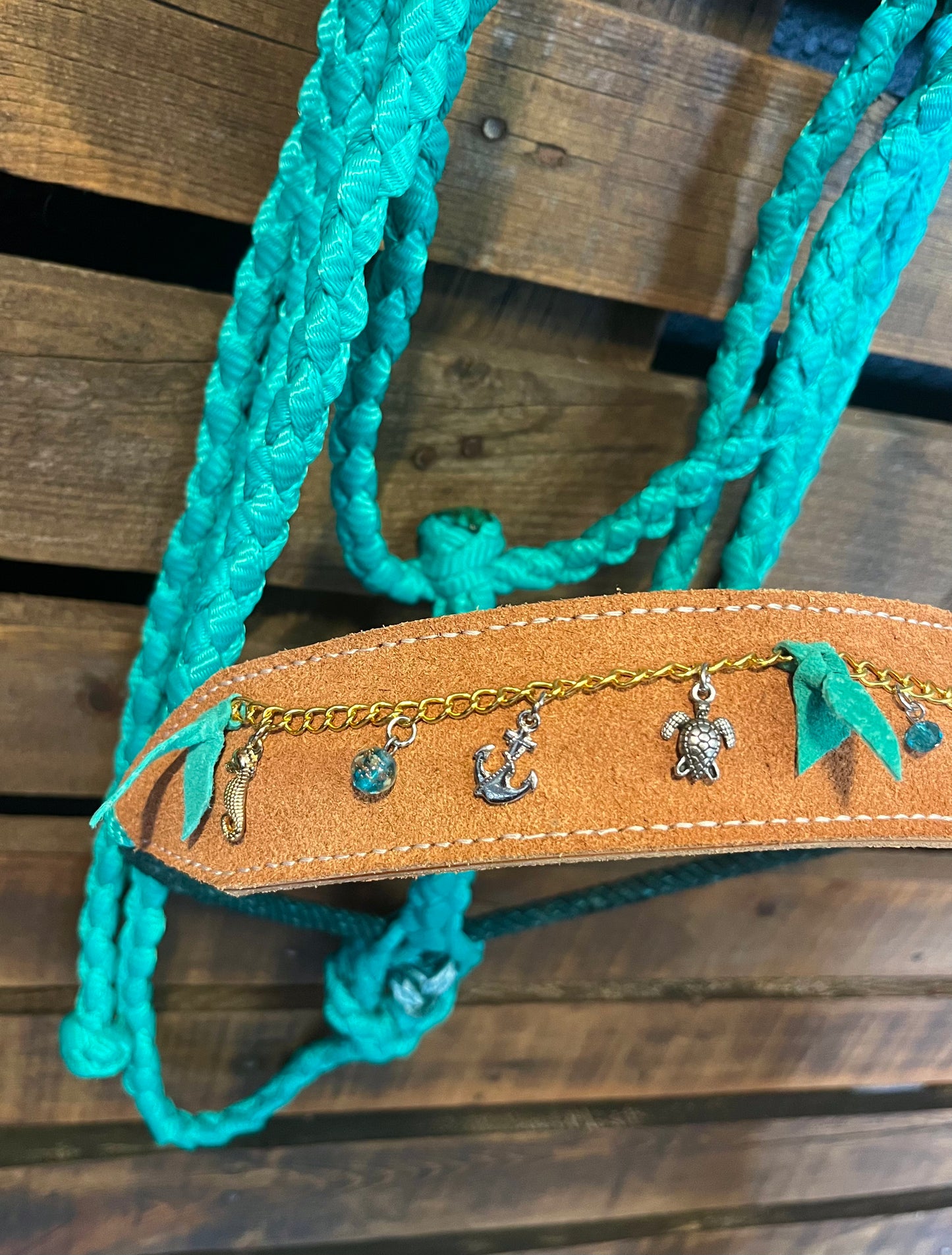 Coastal Charms Horse Halter | Mule Tape Halter with Lariat Nose Band