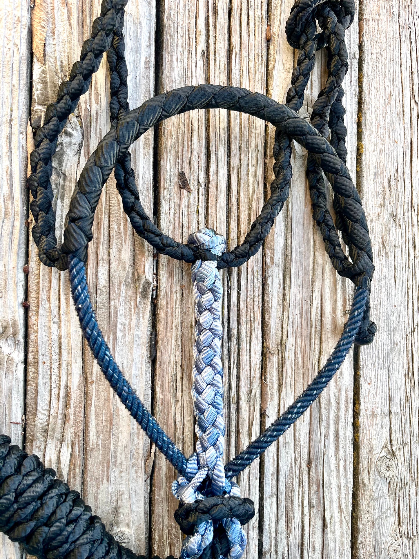 Black & Denim Mule Tape Halter with Navy Lariat Nose Band
