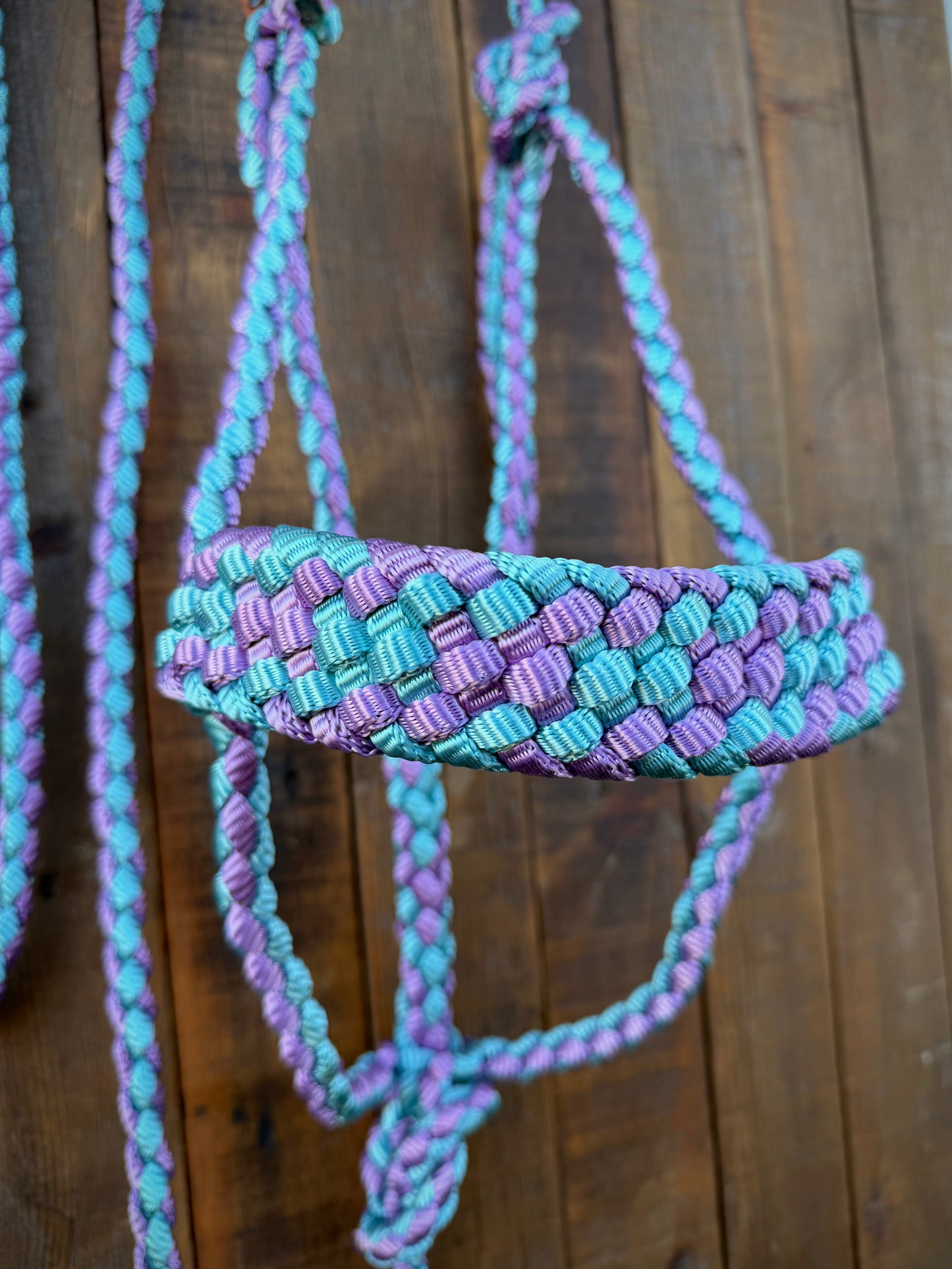 Lavender and Gift Box Blue Mule Tape Horse Halter