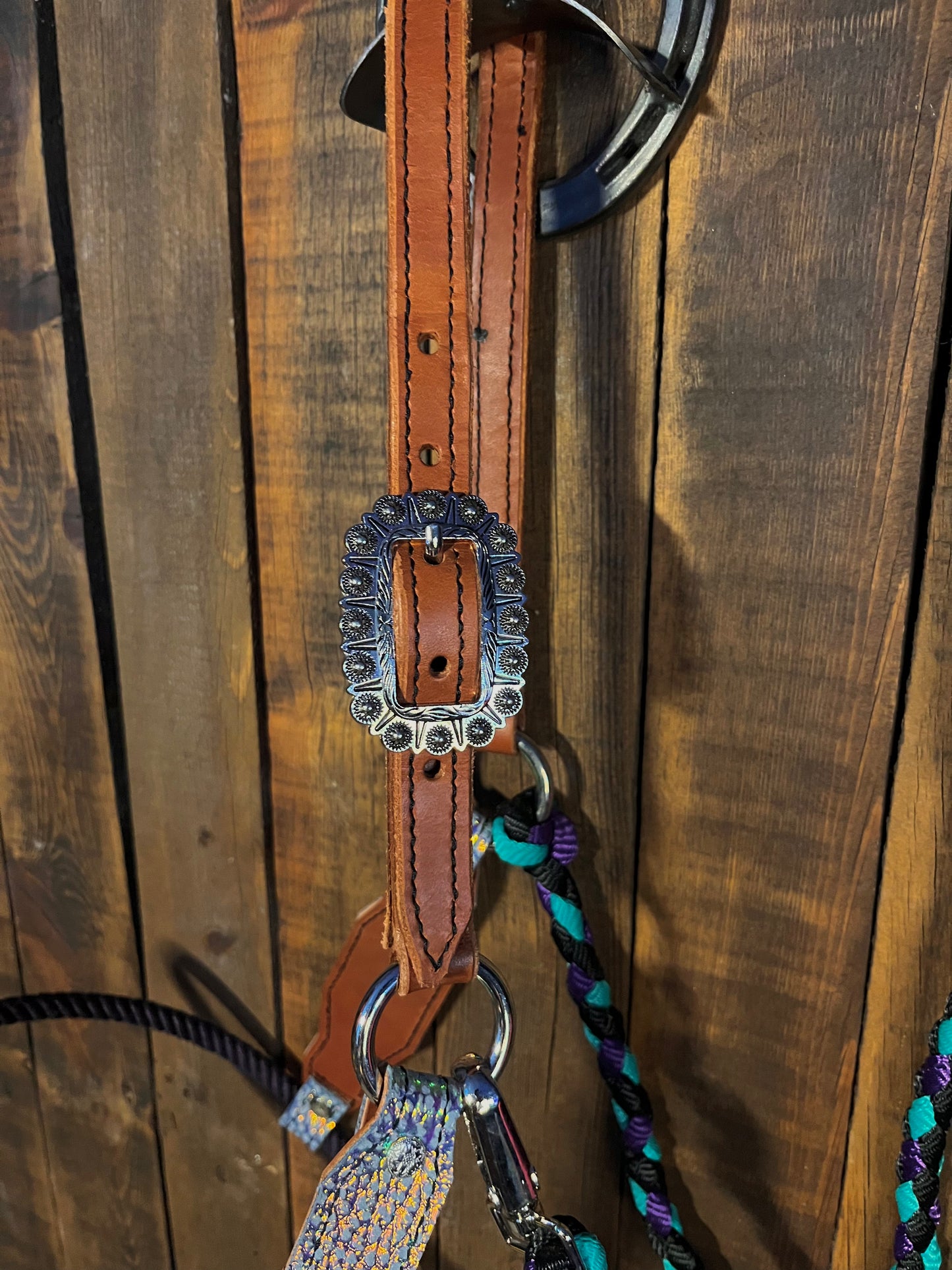 Iridescent Hybrid Horse Halter