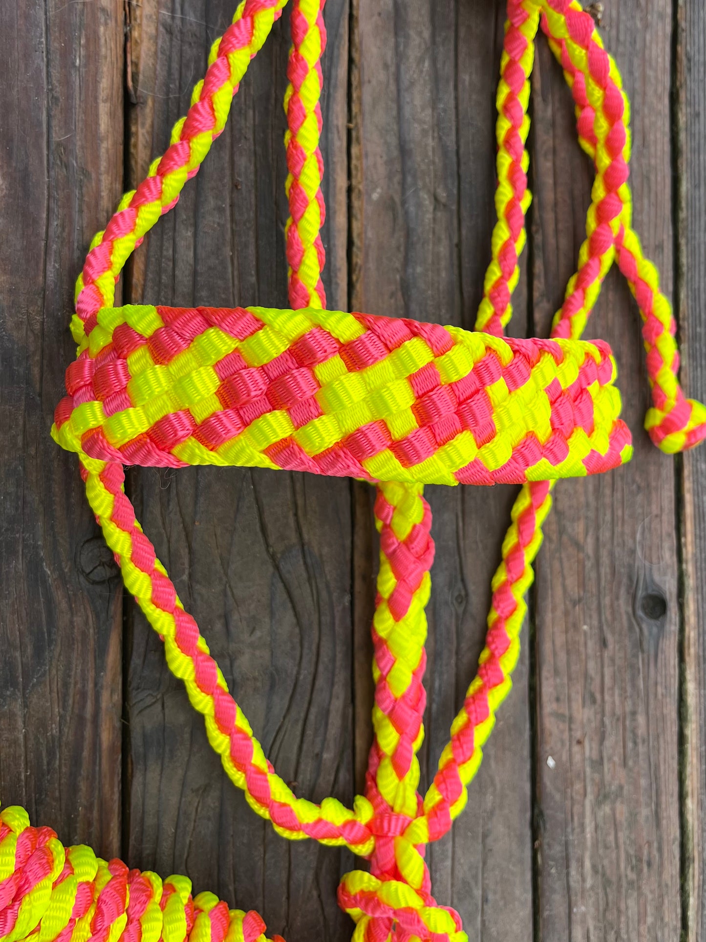 Neon Pink & Neon Yellow Mule Tape Horse Halter