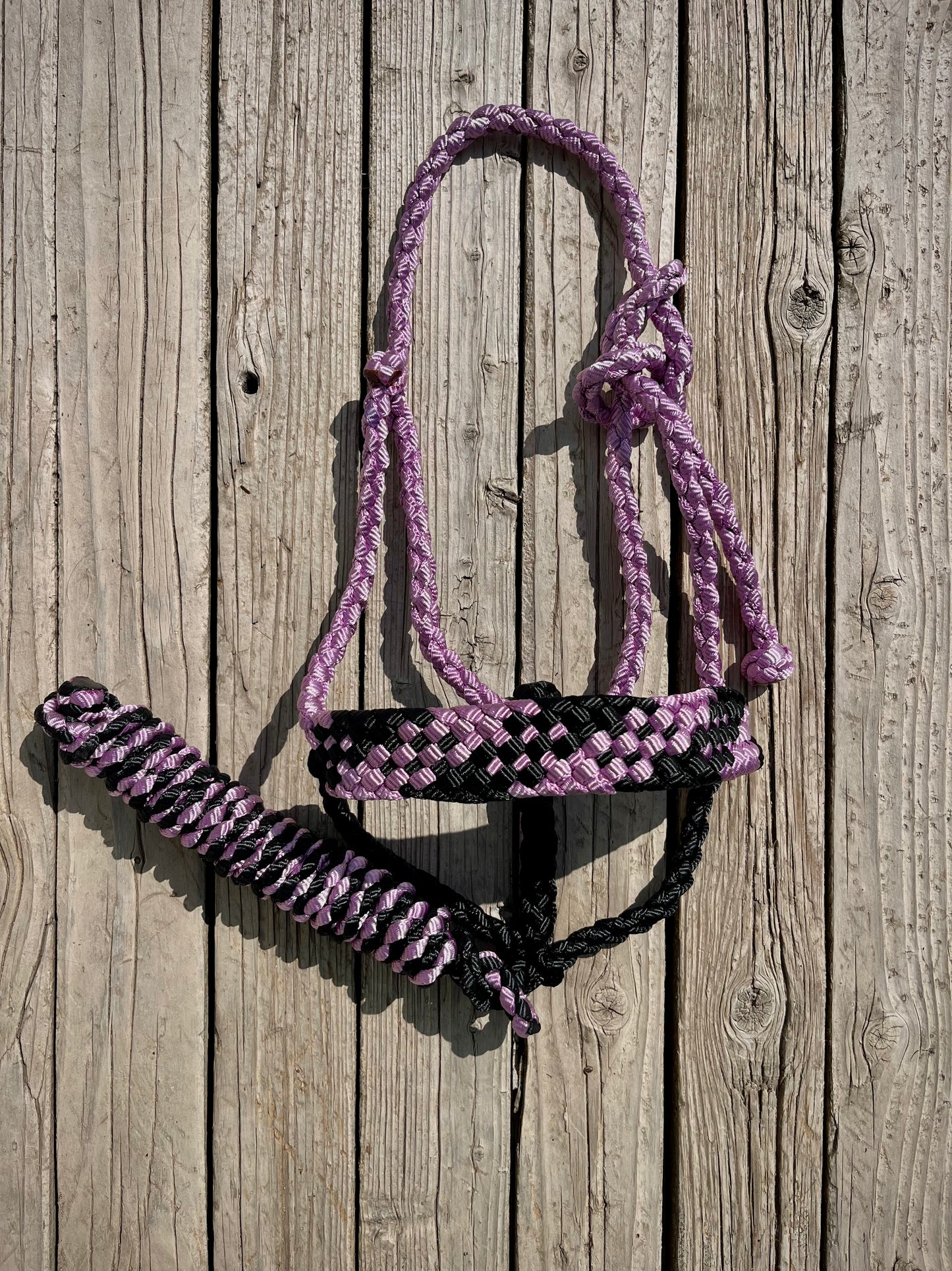 Lavender & Black Mule Tape Halter