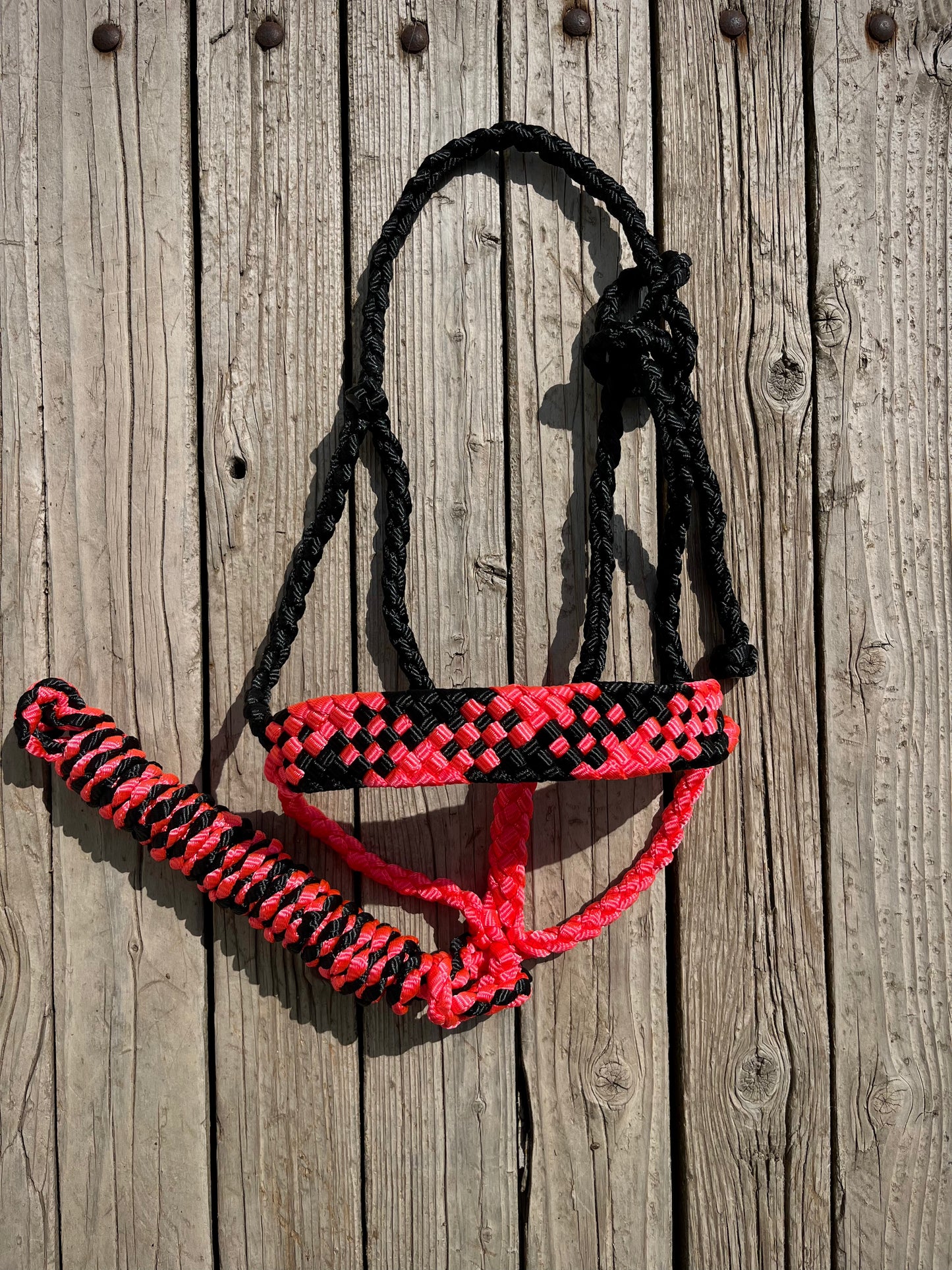 Black & Neon Pink Mule Tape Halter