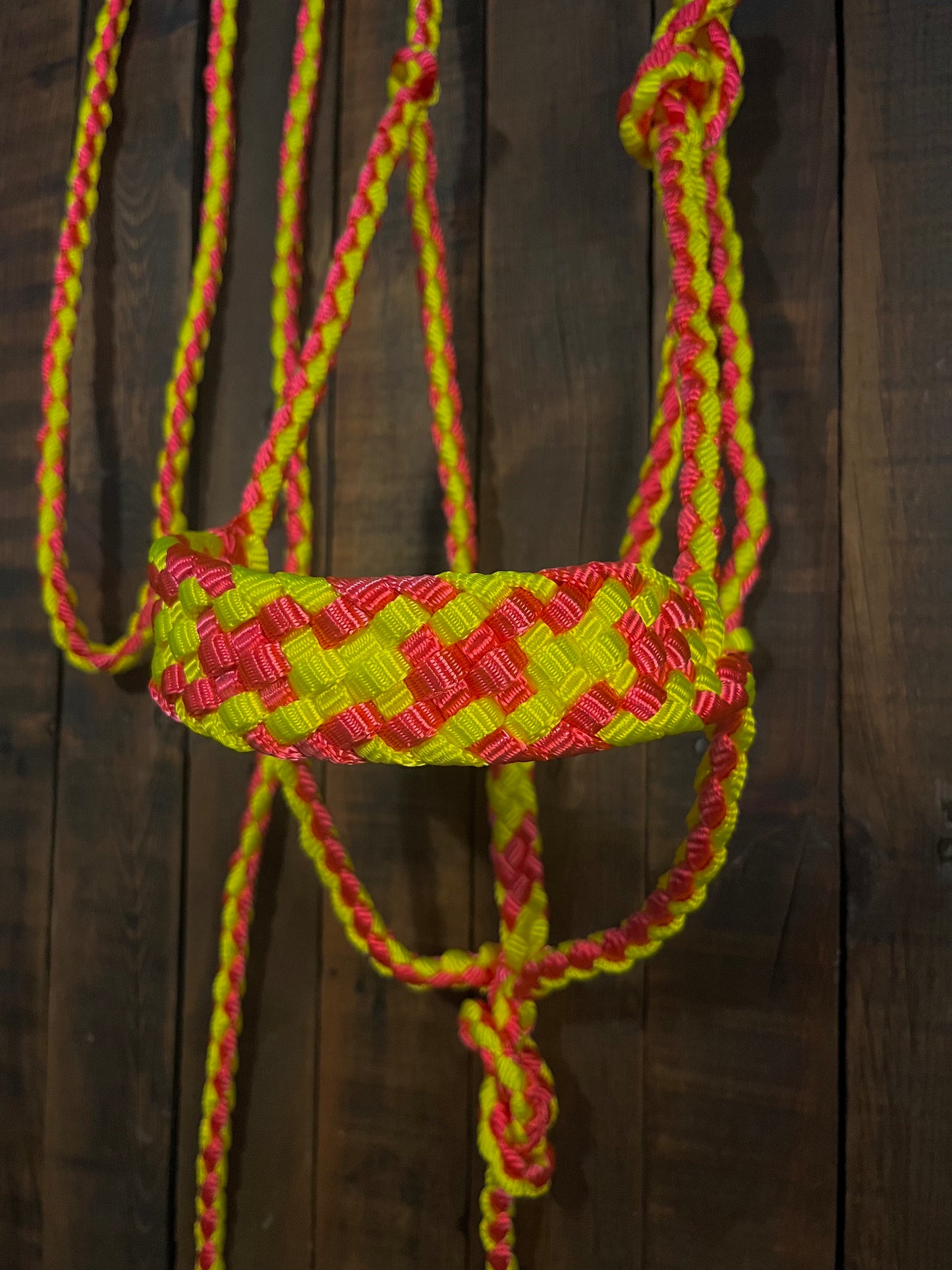 Neon Pink & Neon Yellow Mule Tape Horse Halter