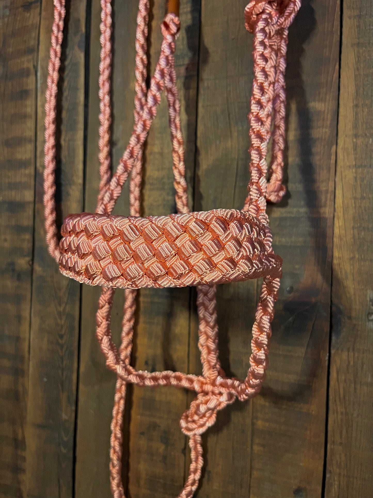 Limited Edition Coral Mule Tape Horse Halter
