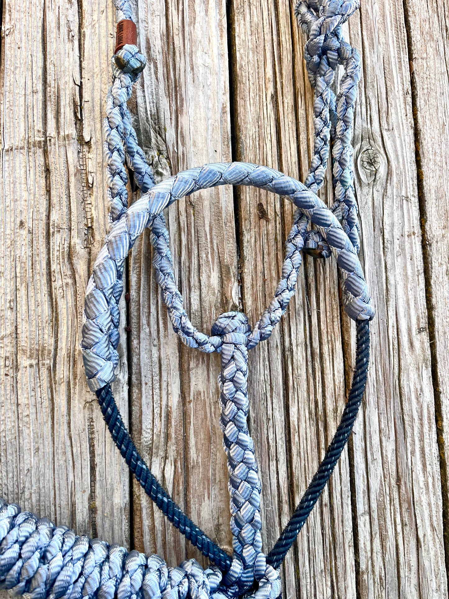 Denim Blue Mule Tape Halter with Navy Lariat Nose Band