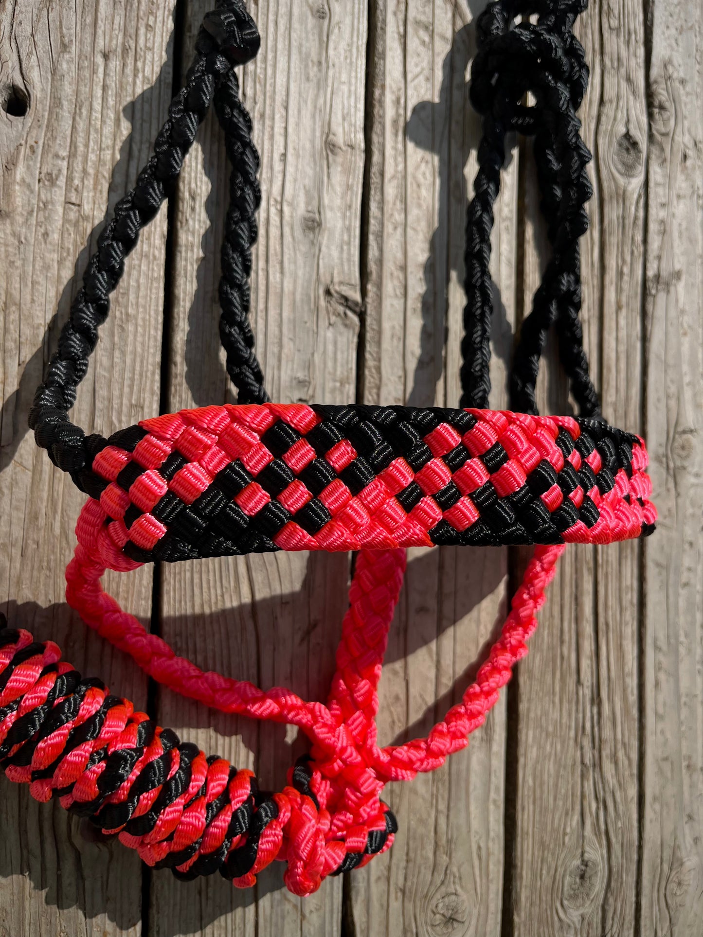 Black & Neon Pink Mule Tape Halter