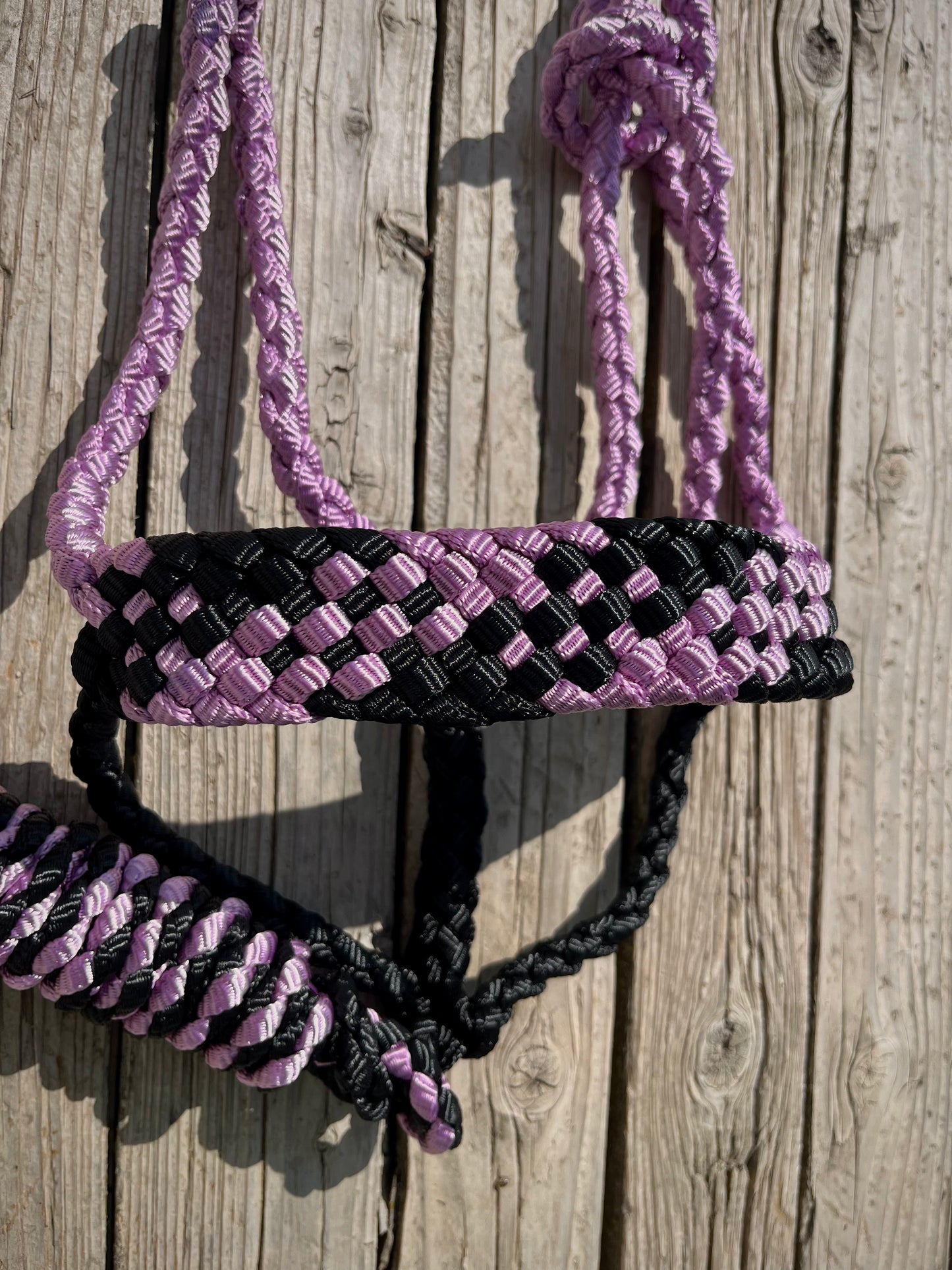 Lavender & Black Mule Tape Halter