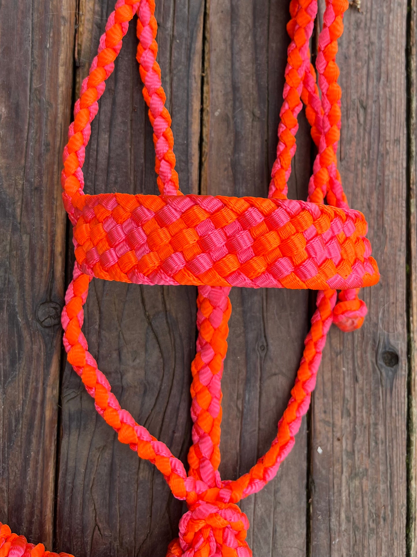 Neon Pink & Neon Orange Mule Tape Horse Halter