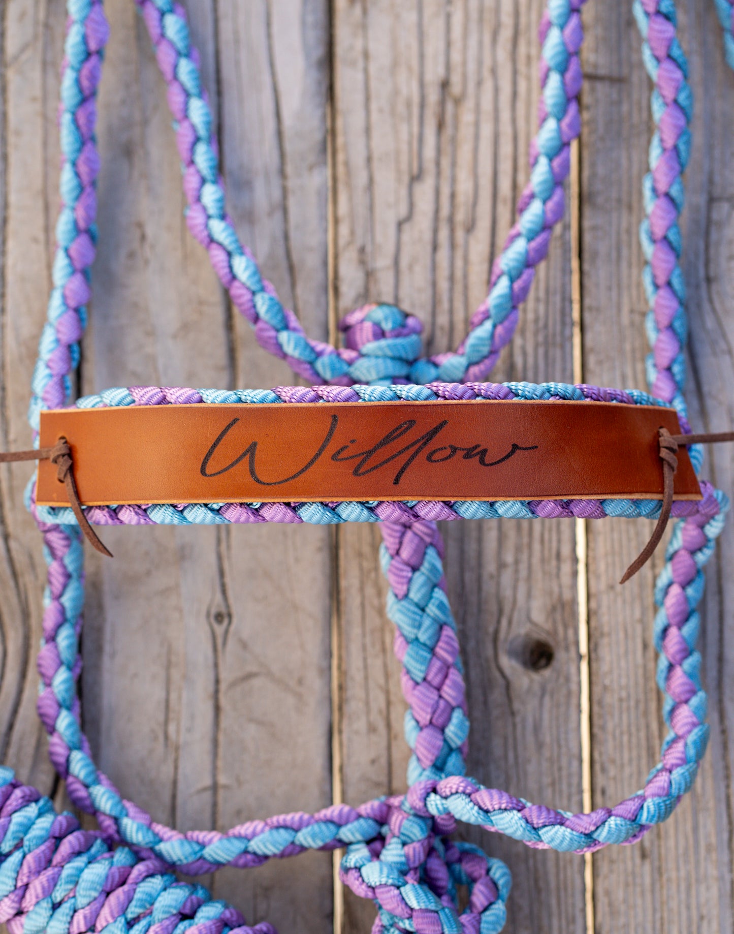 Custom Mule Tape Halter with Leather Nose Band | Sizes Mini - Draft