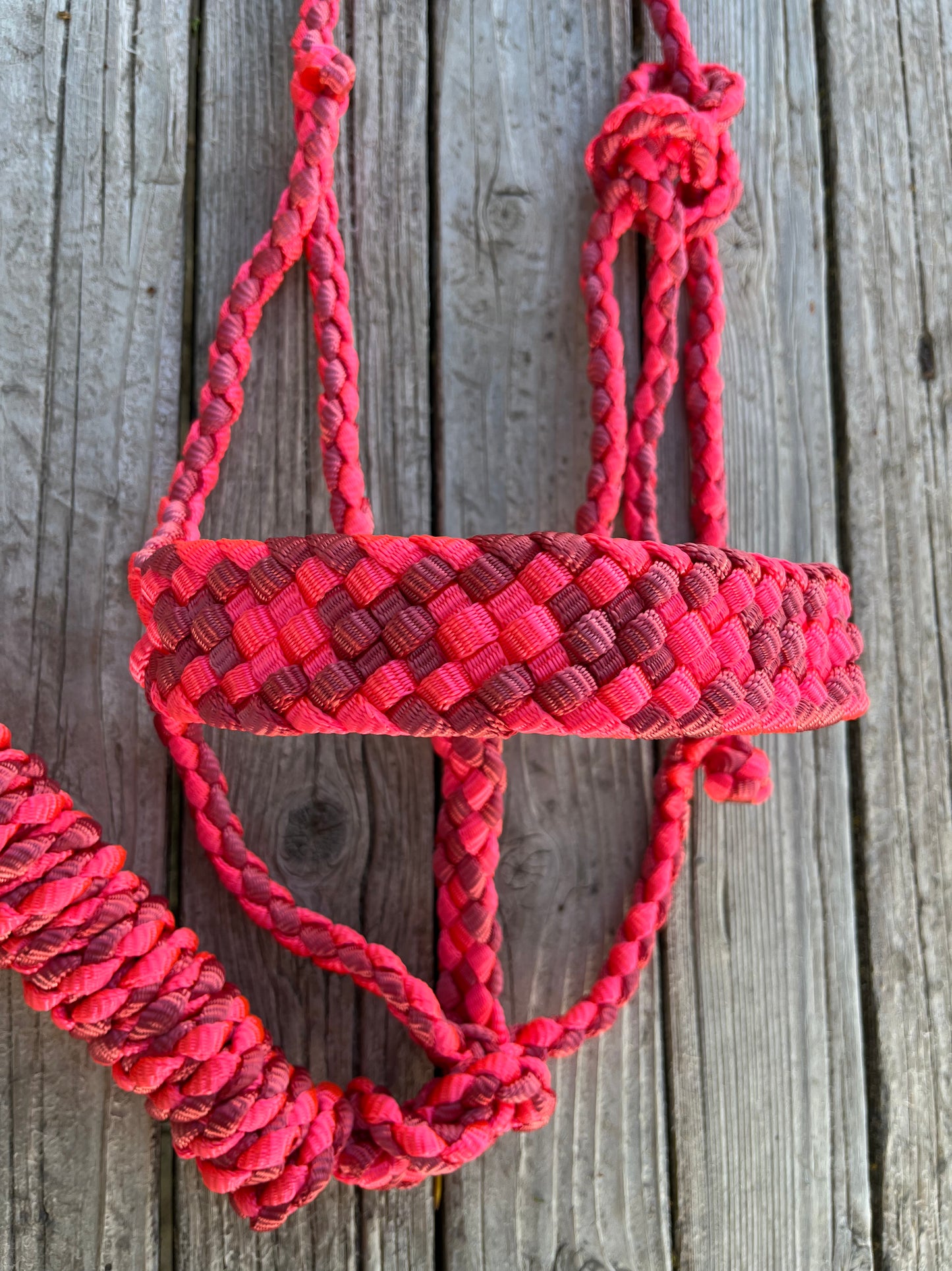 Neon Pink & Raspberry Mule Tape Halter