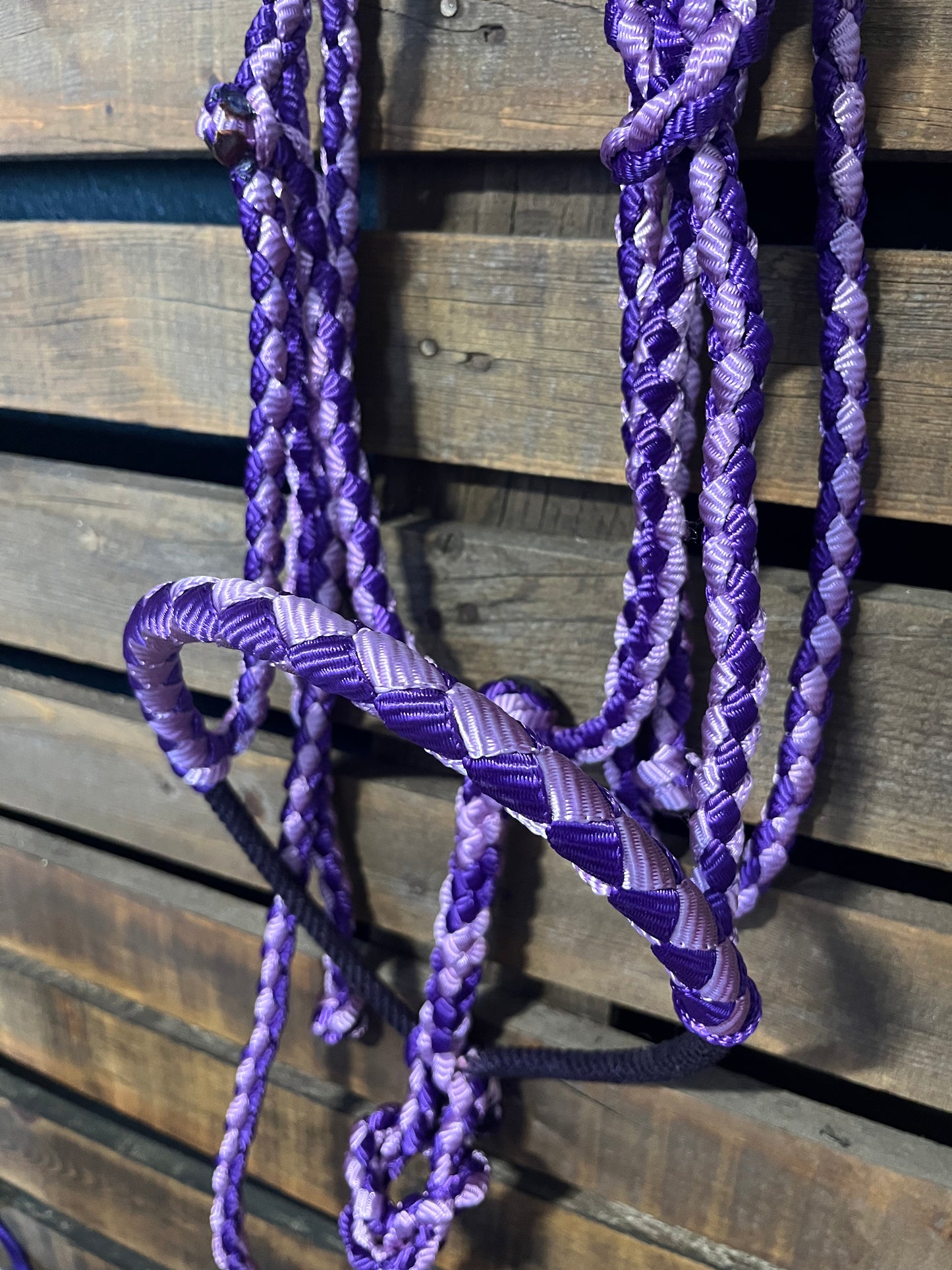 Lavender & Purple Lariat Horse Halter