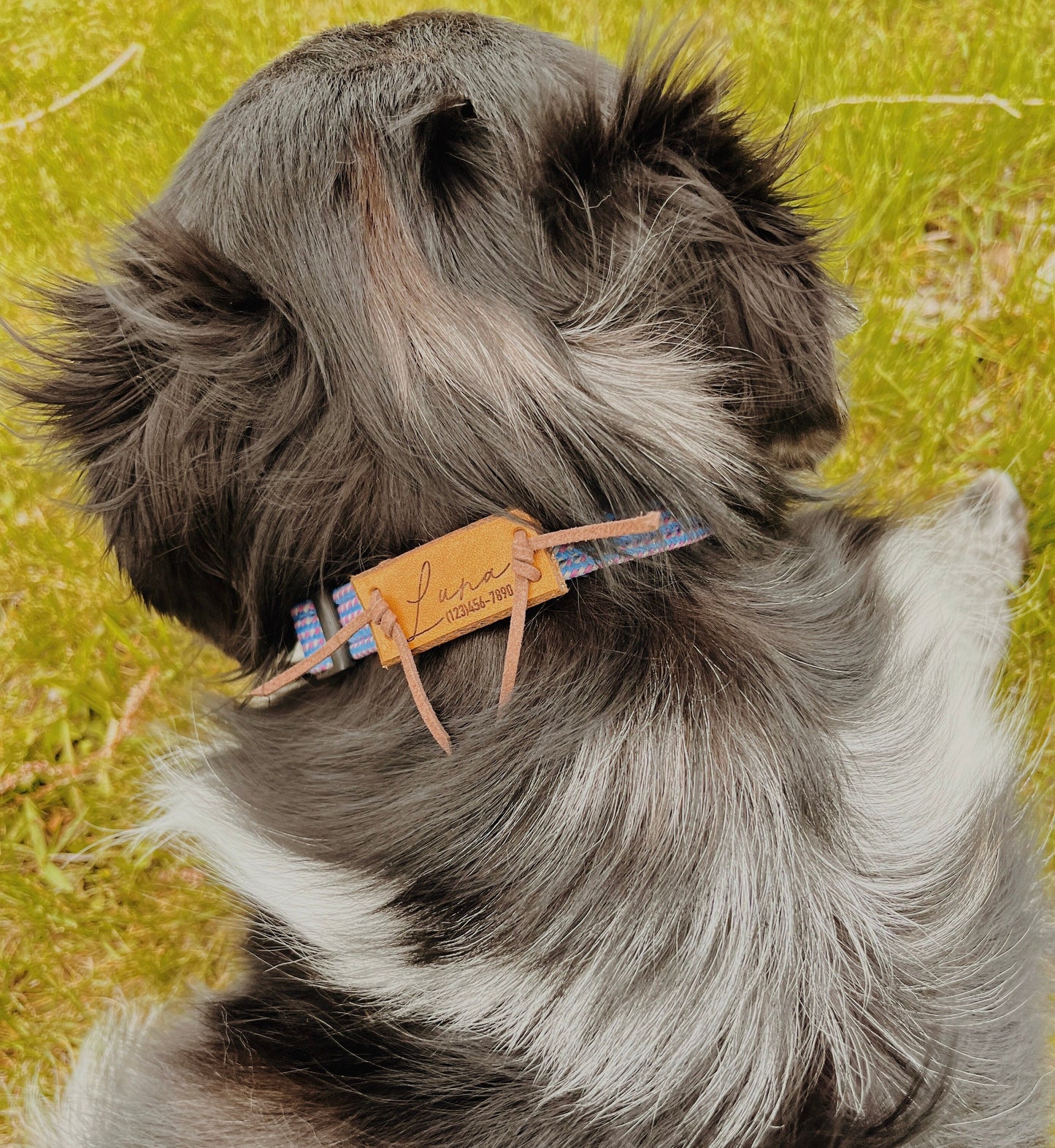 Dog Collar Name Tag