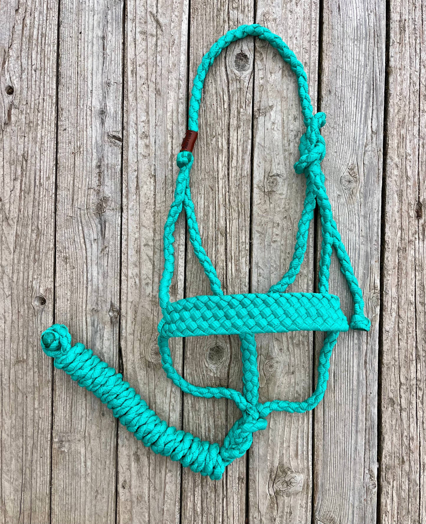Turquoise Mule Tape Halter