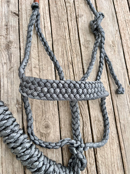 Silver Mule Tape Halter