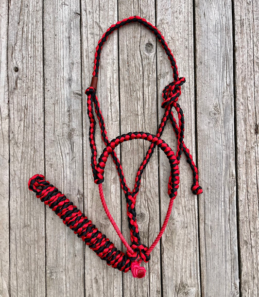Black & Red Lariat Nose Band Mule Tape Halter