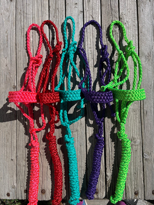 Mule Tape Halter | Sizes Mini - Draft