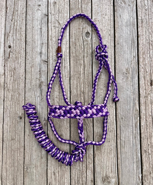 Purple & Lavender Mule Tape Halter
