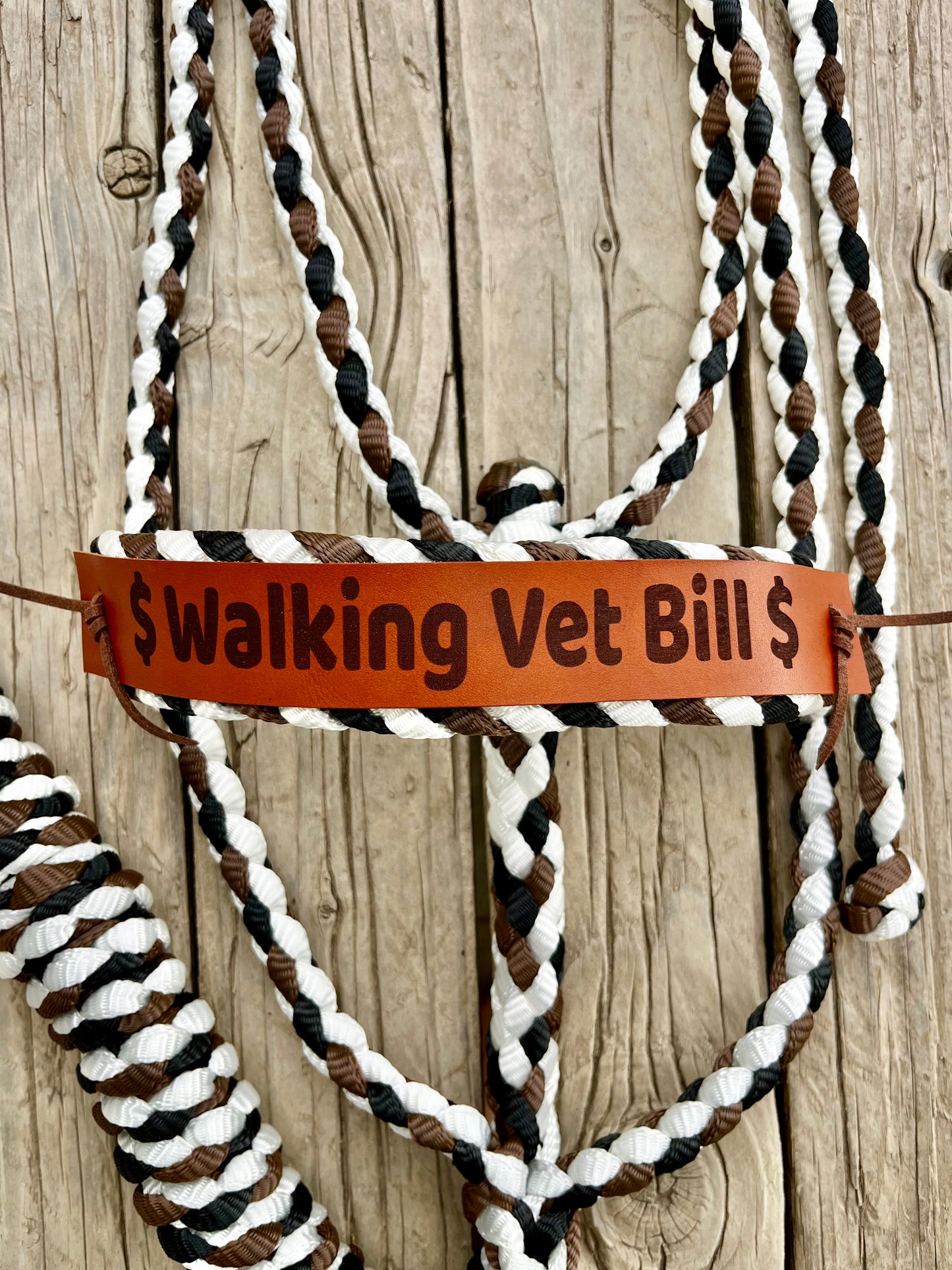 Walking Vet Bill Halter