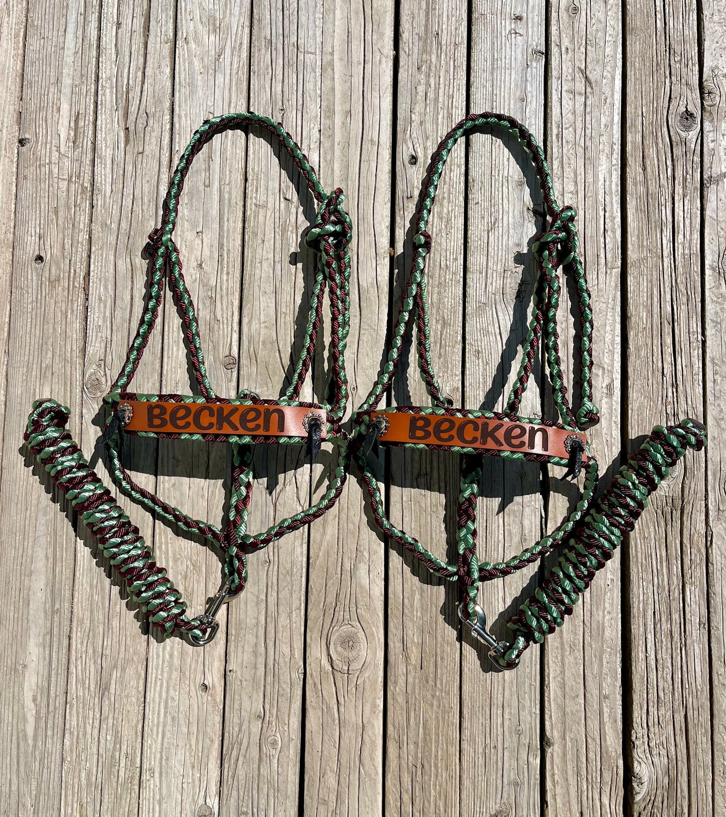 Custom Mule Tape Halter with Conchos