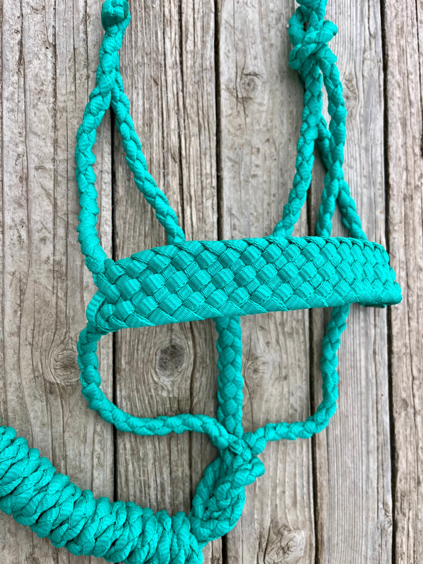 Turquoise Mule Tape Halter