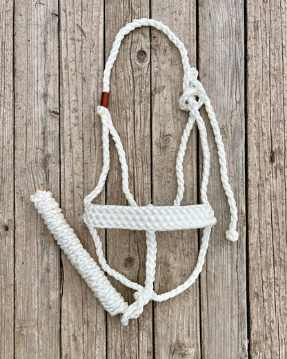 White Mule Tape Halter