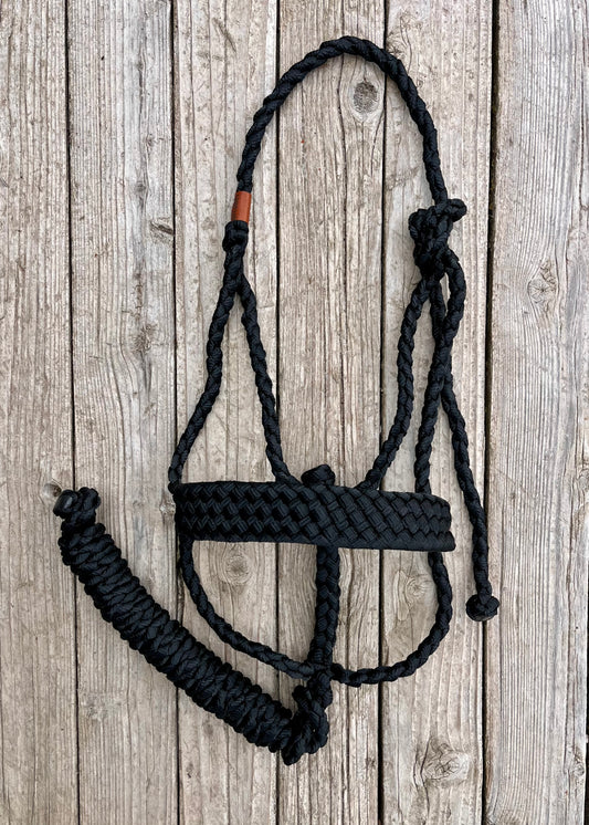 Black Mule Tape Halter