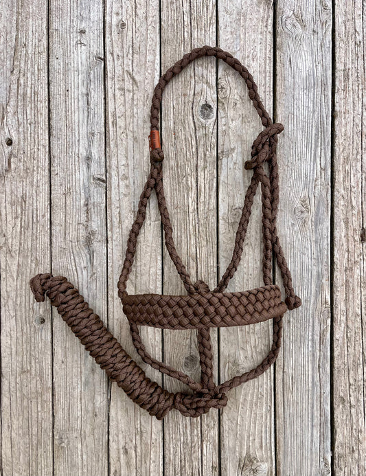 Brown Mule Tape Halter