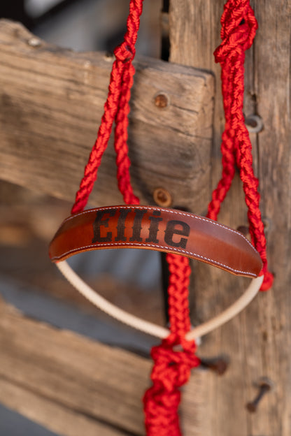 Leather & Lariat Nose Band Custom Mule Tape Halter