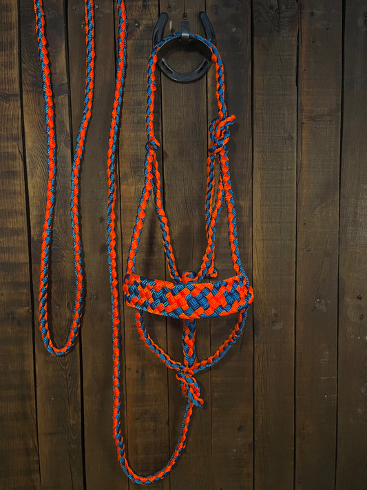 Royal Blue & Neon Orange Mule Tape Horse Halter