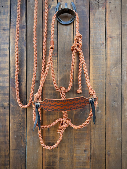 Aztec Bronc Nose Band and Copper Mule Tape Horse Halter