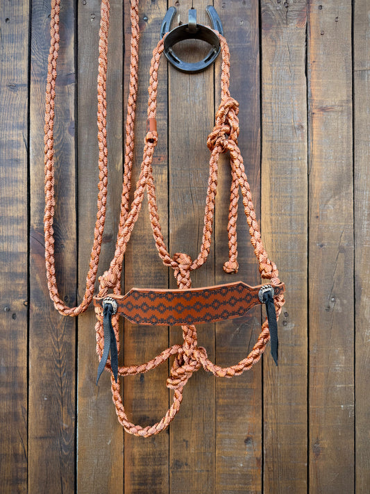 Aztec Bronc Nose Band and Copper Mule Tape Horse Halter