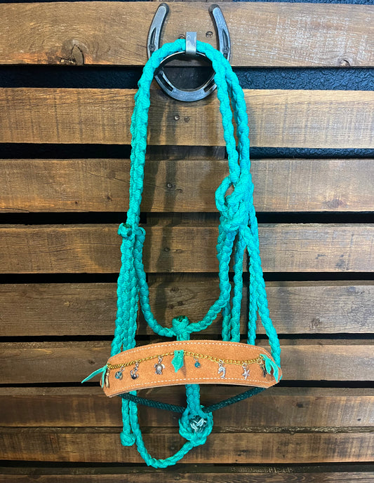 Coastal Charms Horse Halter | Mule Tape Halter with Lariat Nose Band