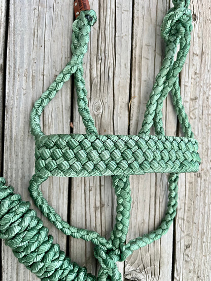 Forest Green Mule Tape Halter