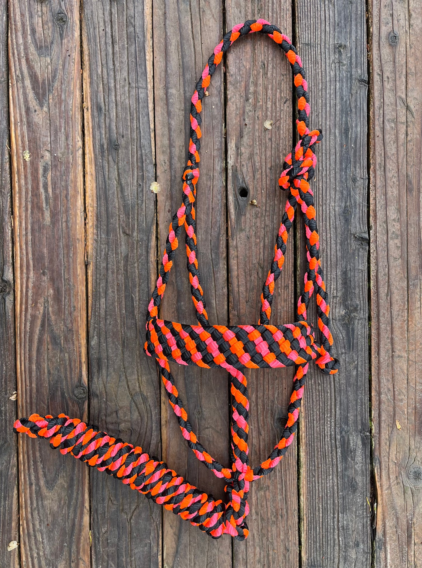 Black, Neon Pink & Neon Orange Mule Tape Horse Halter