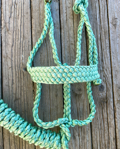 Limited Edition Pale Green Mule Tape Horse Halter