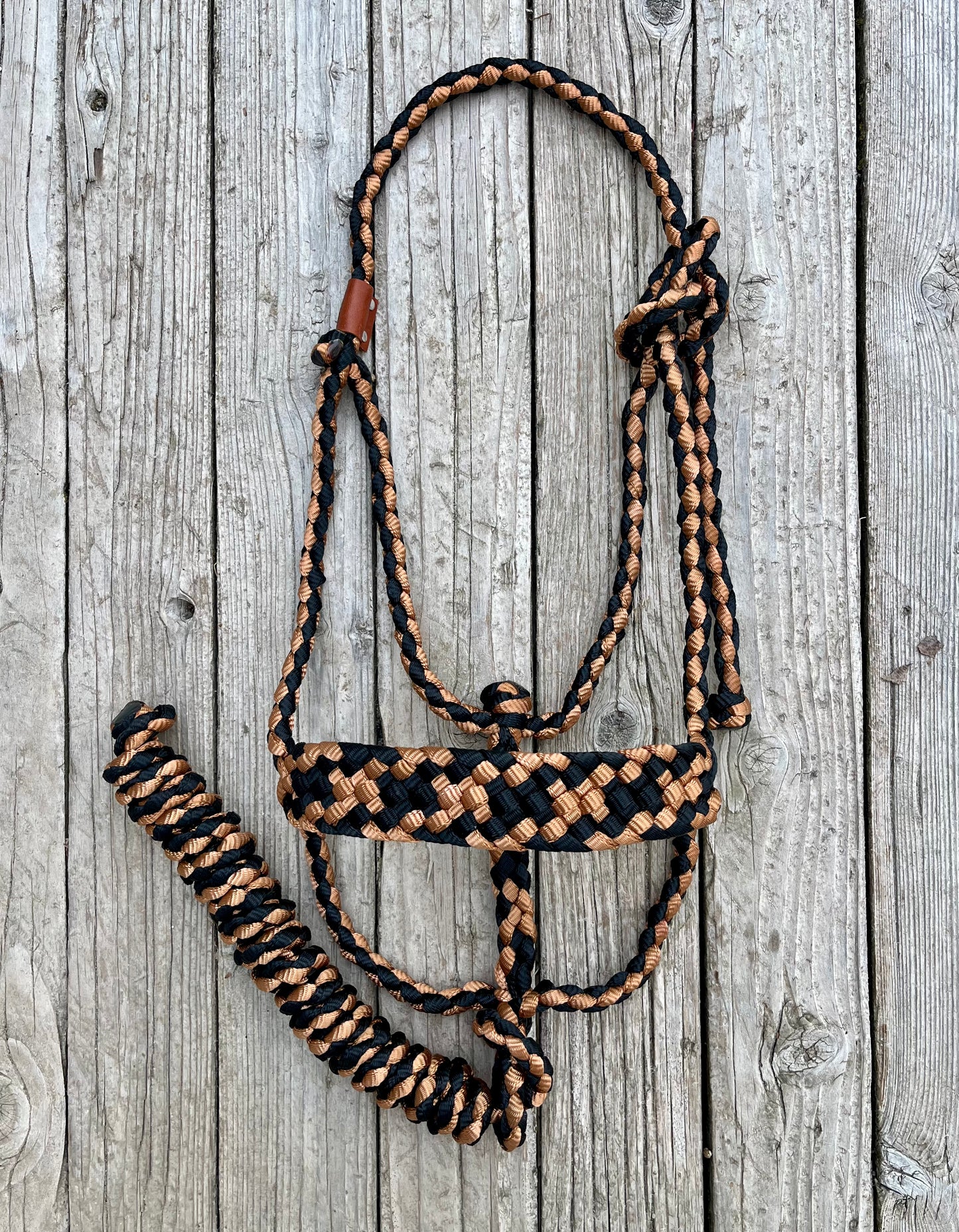 Black and Copper Mule Tape Halter