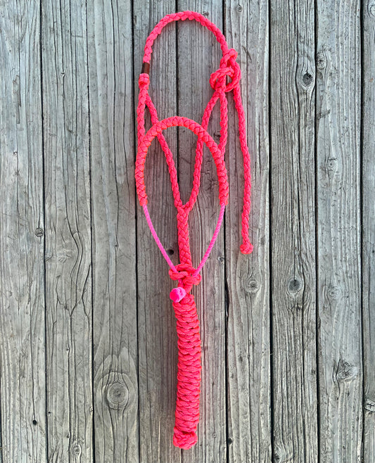 Neon Pink Lariat and Mule Tape Halter