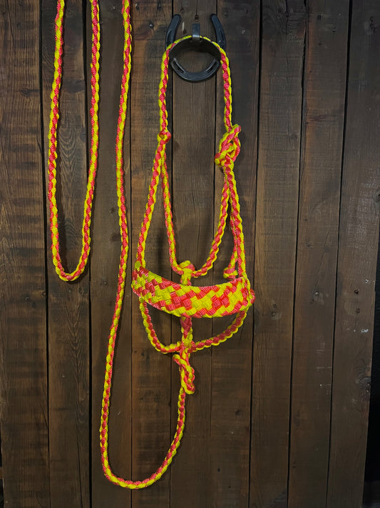 Neon Pink & Neon Yellow Mule Tape Horse Halter